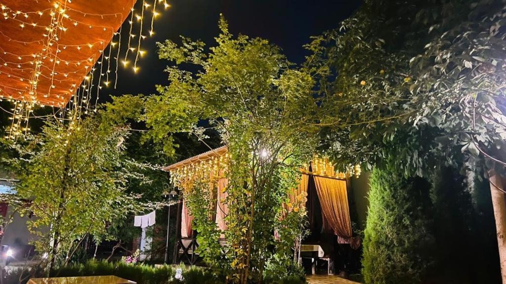 Green House Eco Hotel Samarcanda Exterior foto
